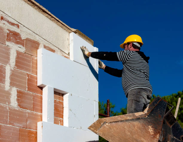Best Spray Foam Insulation in Shiner, TX