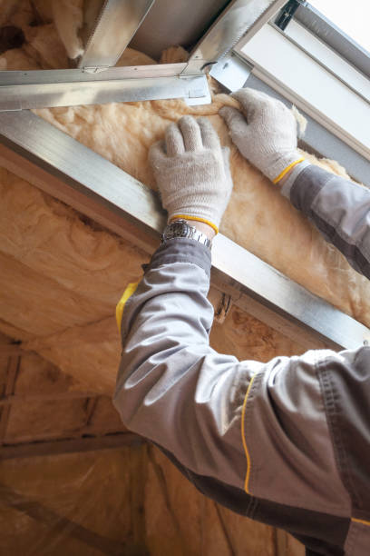 Best Eco-Friendly Insulation in Shiner, TX